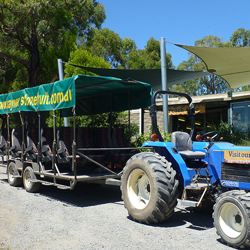 Farm Tours